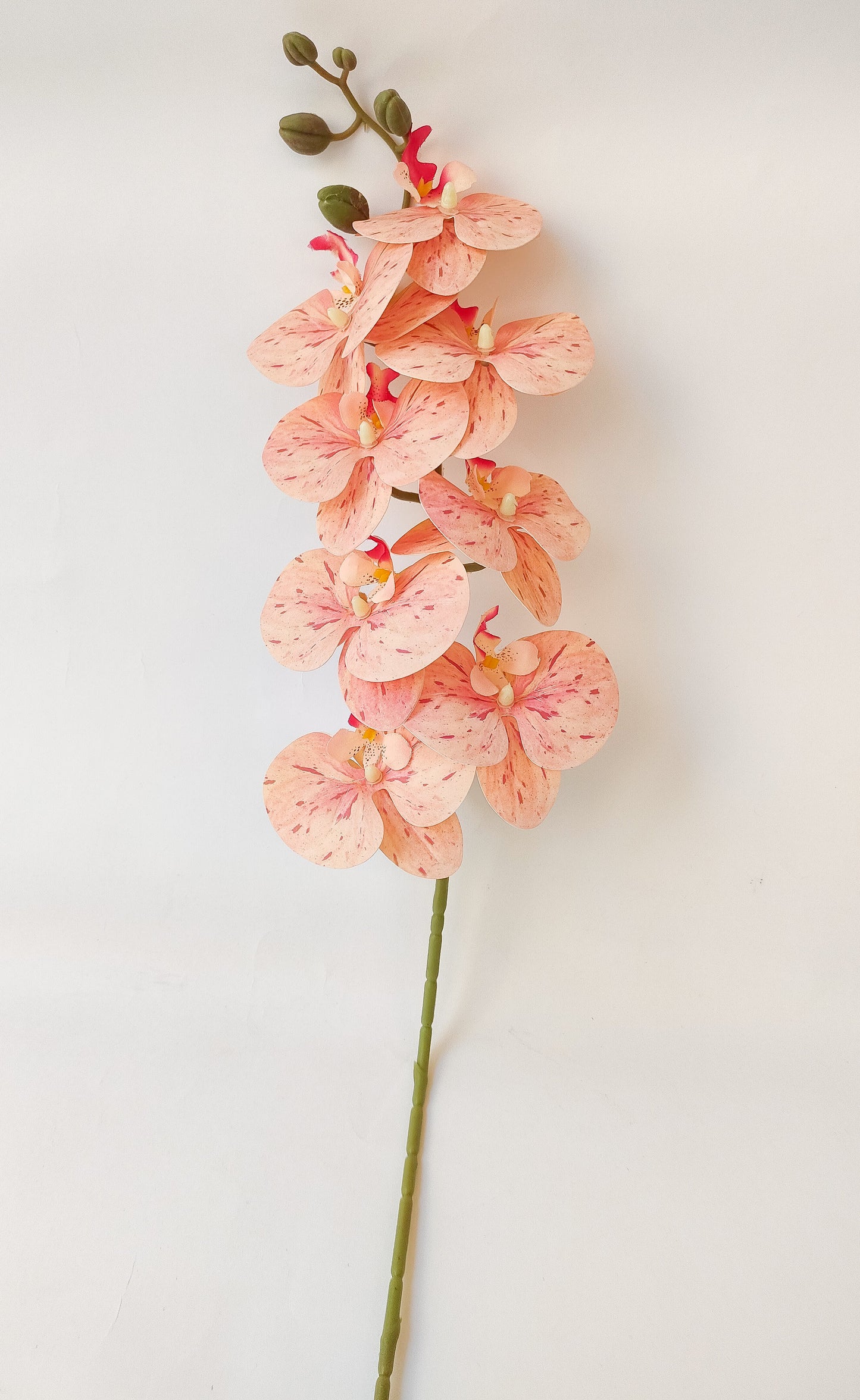 Orchid flowers stem-3 colors