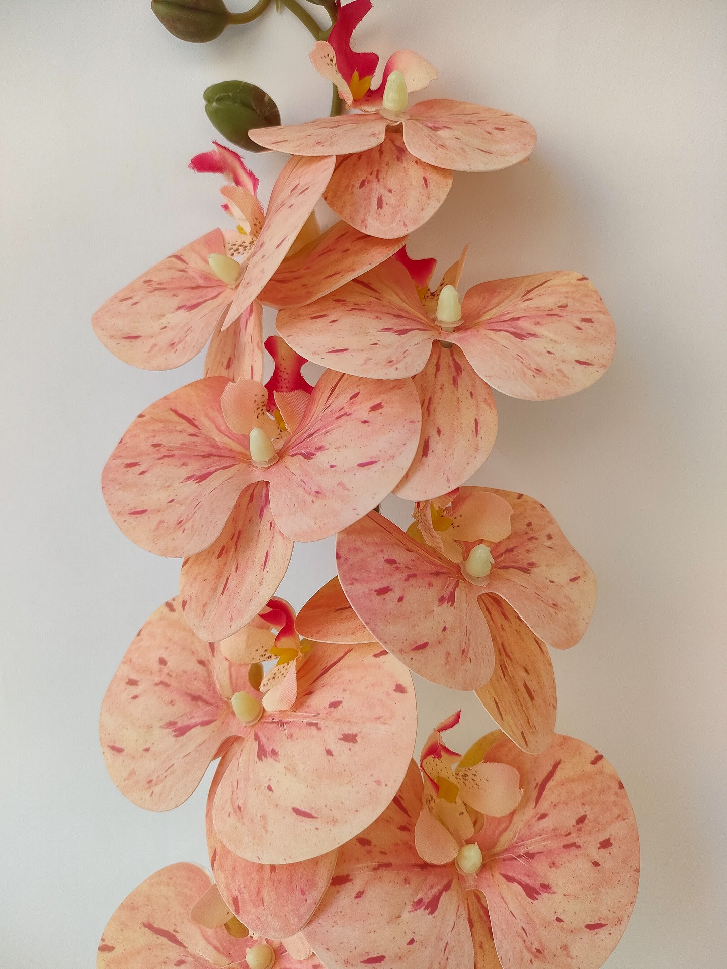 Orchid flowers stem-3 colors