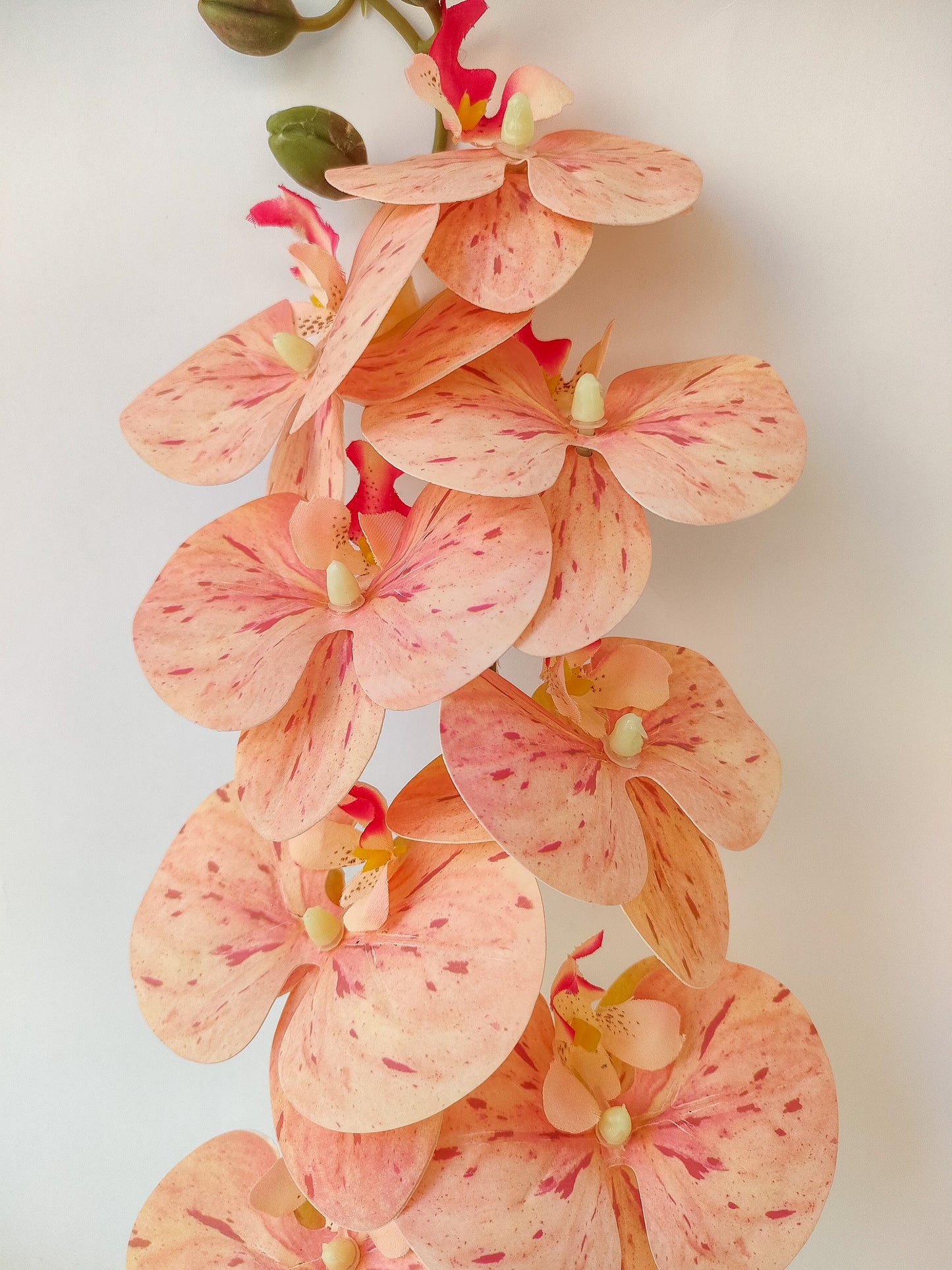 Orchid flowers stem-3 colors