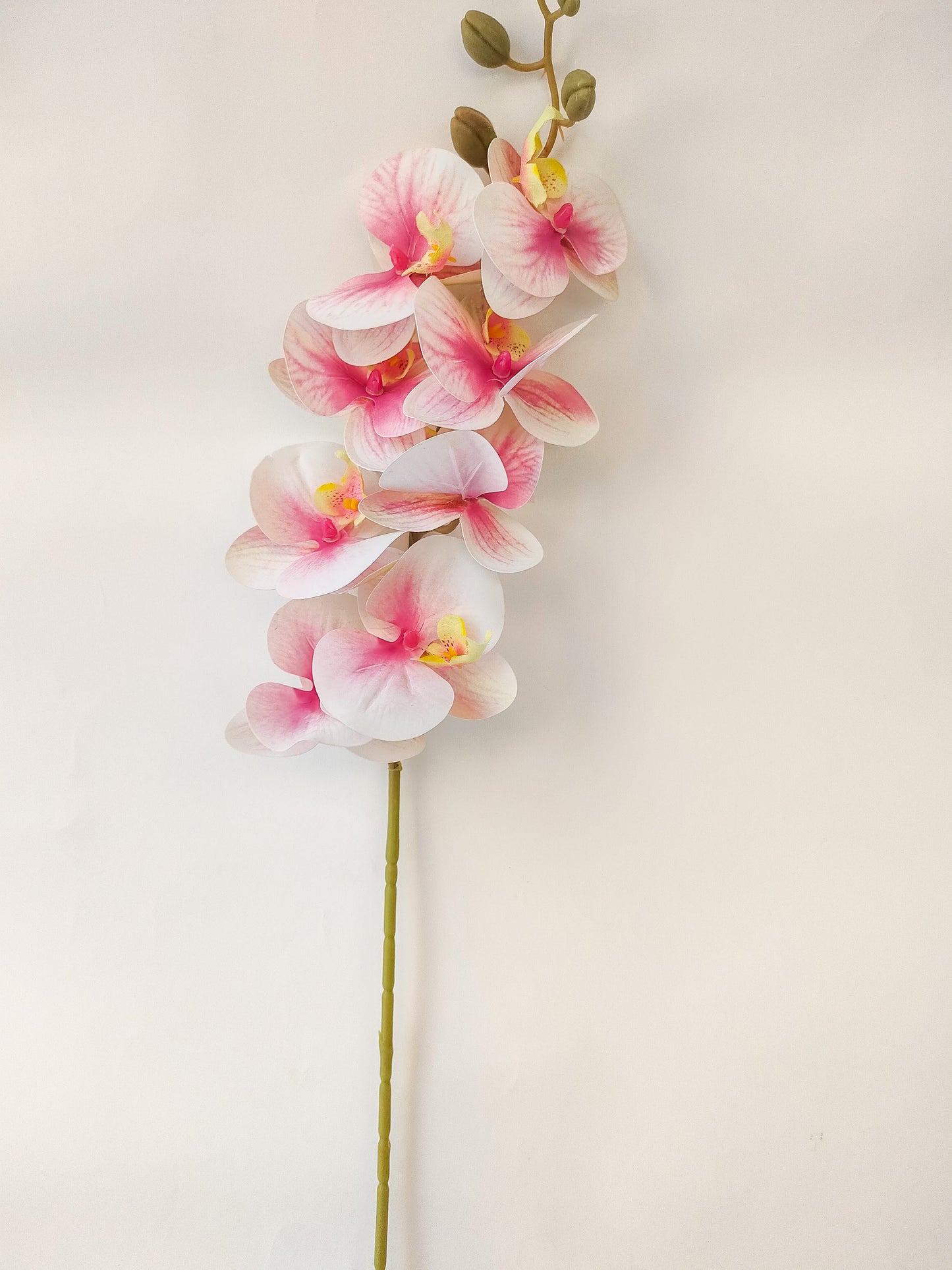 Orchid flowers stem-3 colors