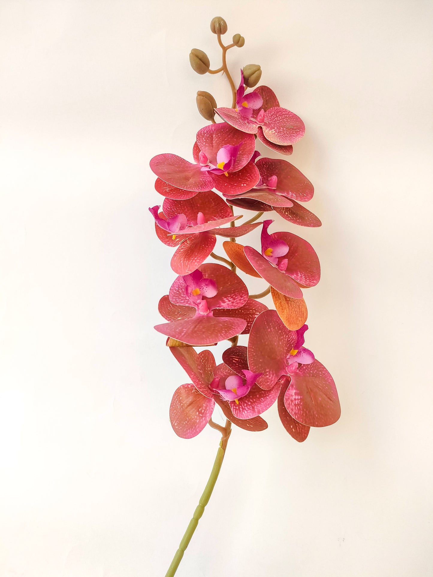 Orchid flowers stem-3 colors