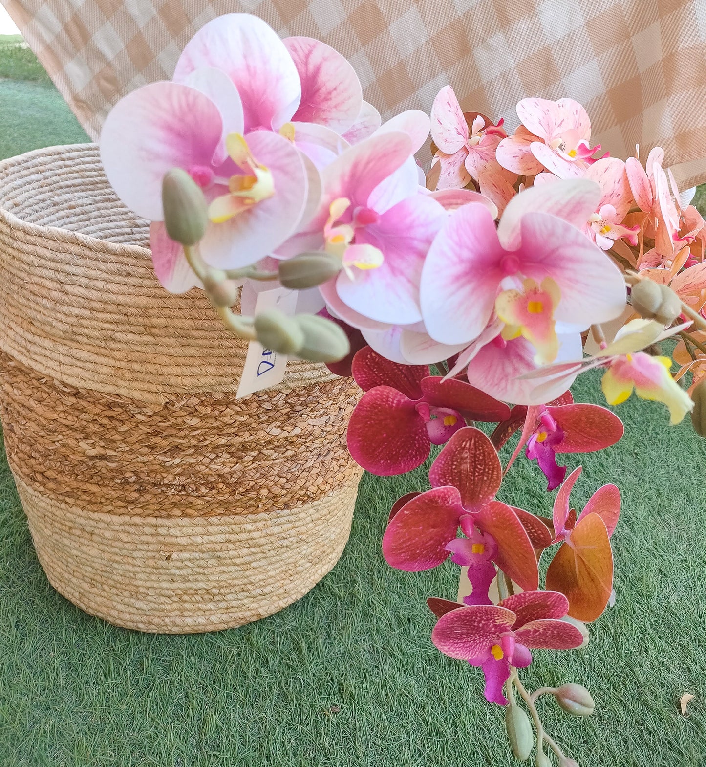 Orchid flowers stem-3 colors