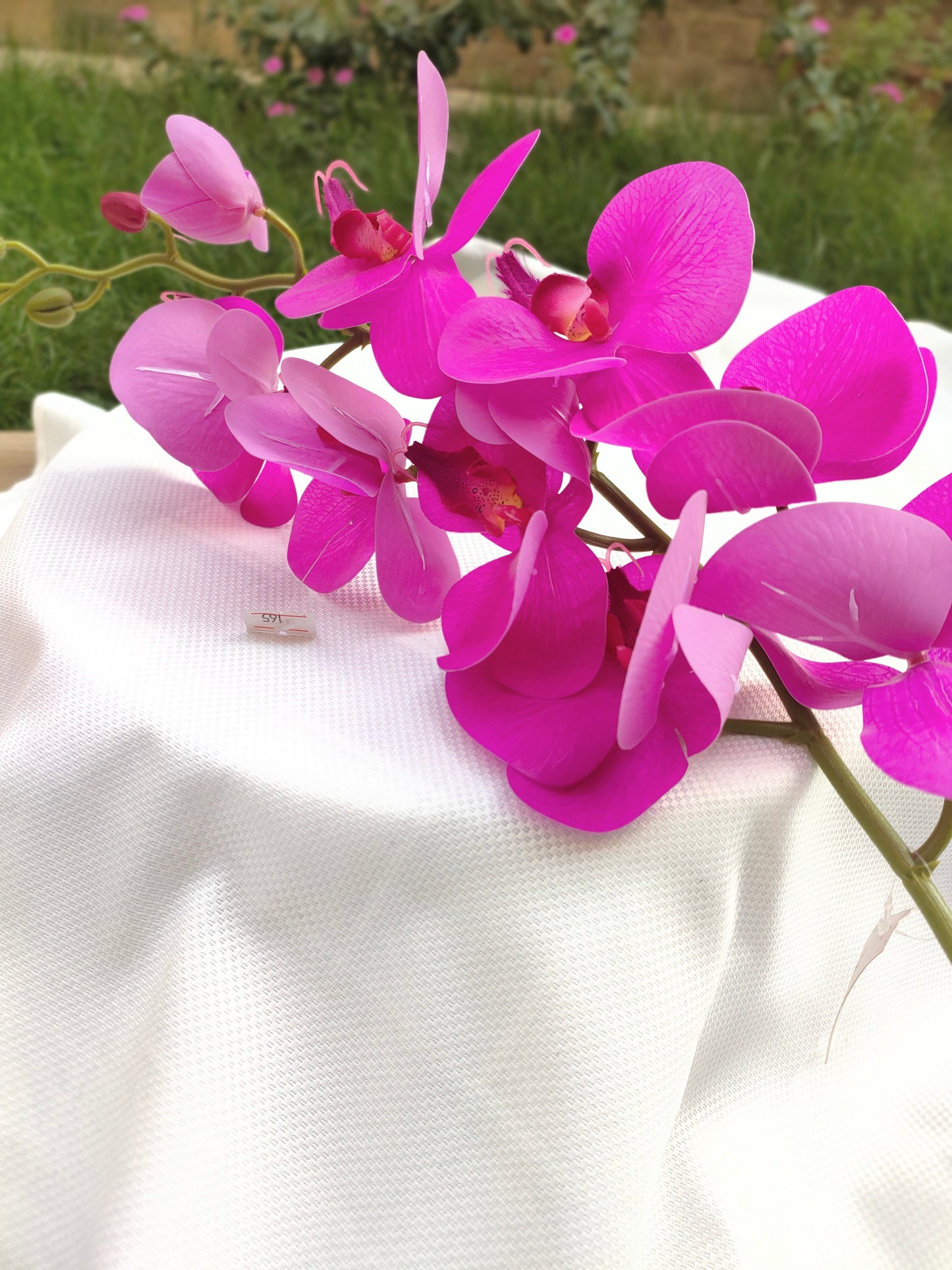 Orchid flowers stem-3 colors