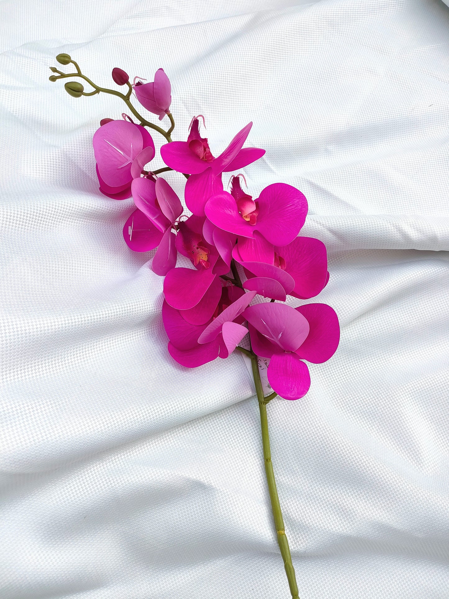 Orchid flowers stem-3 colors