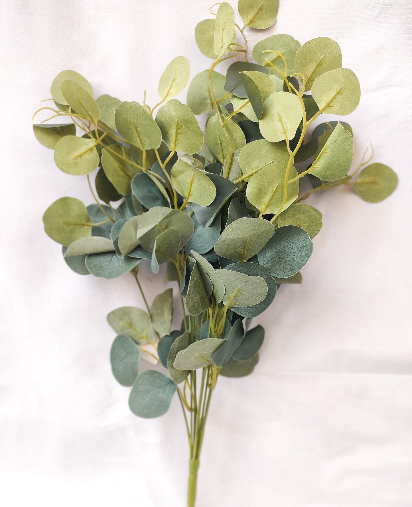 Greenery leaf