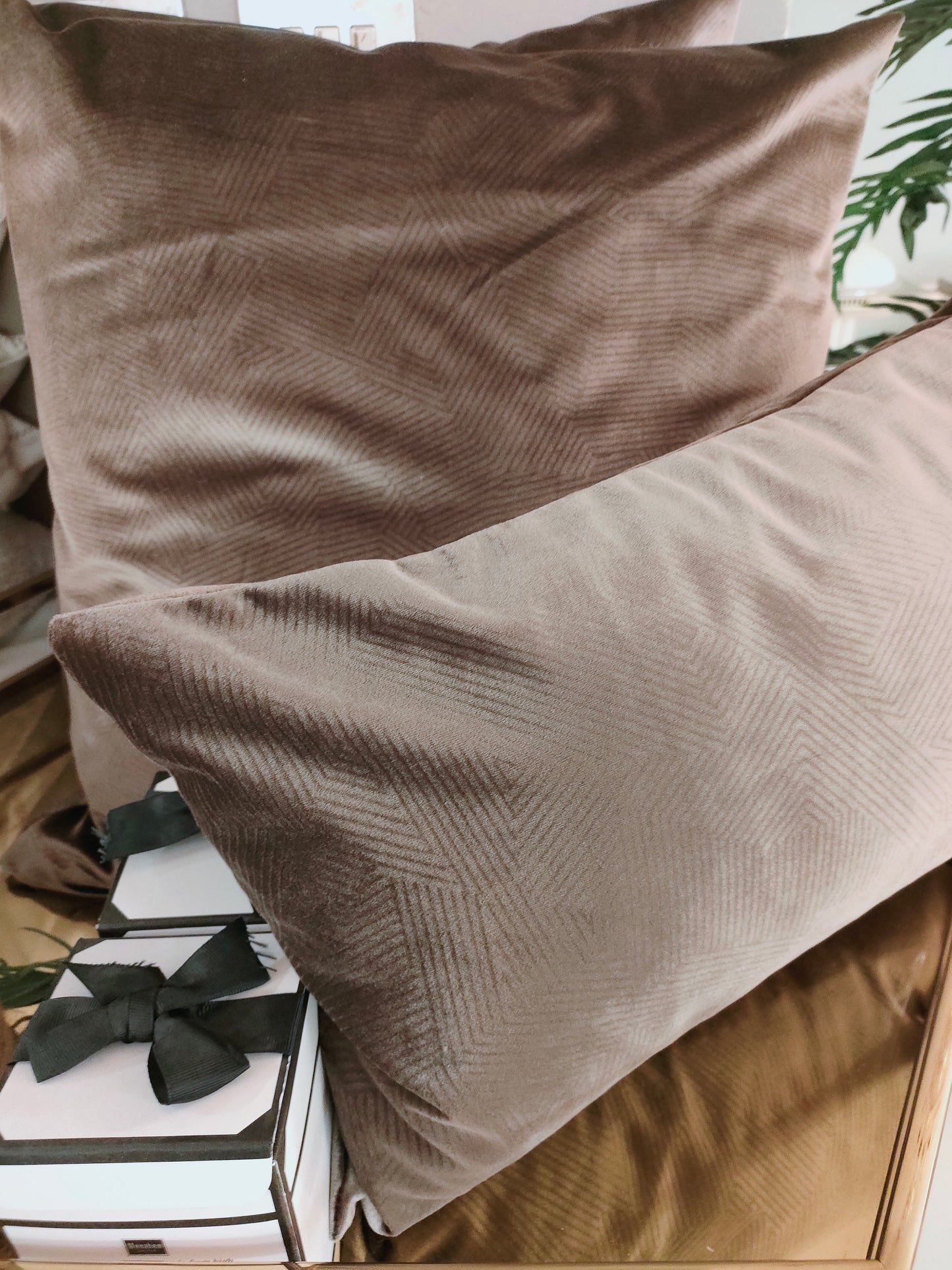 Velvet Cushion -2 sizes