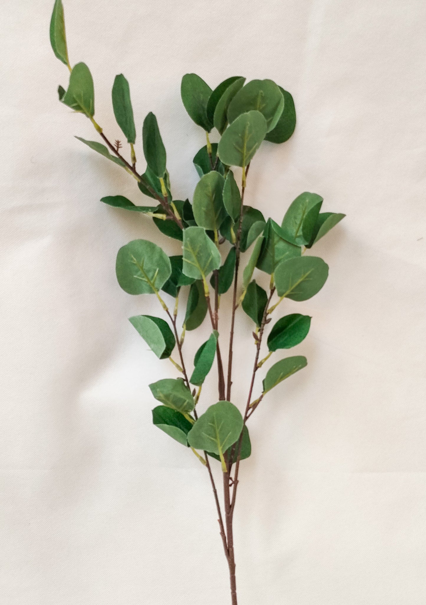 Reddish/Green/Blue Branch