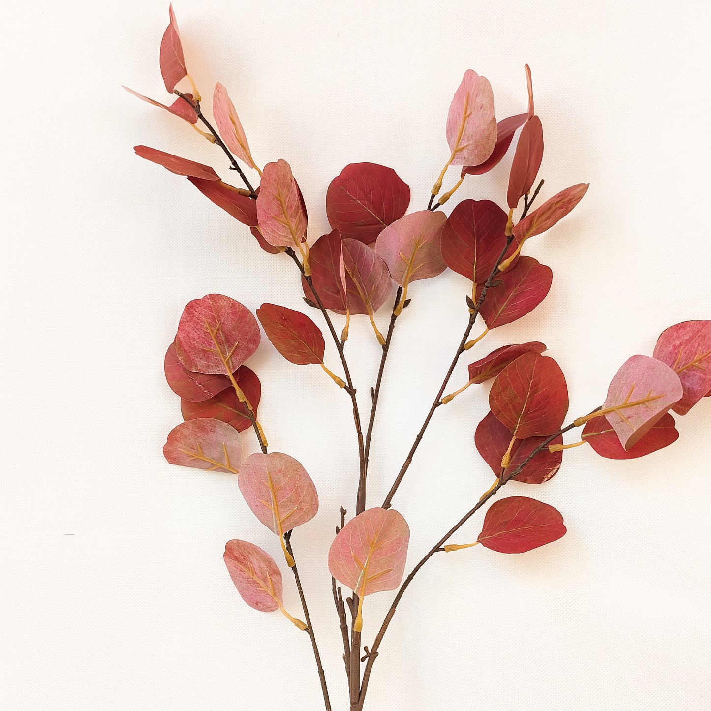 Reddish/Green/Blue Branch