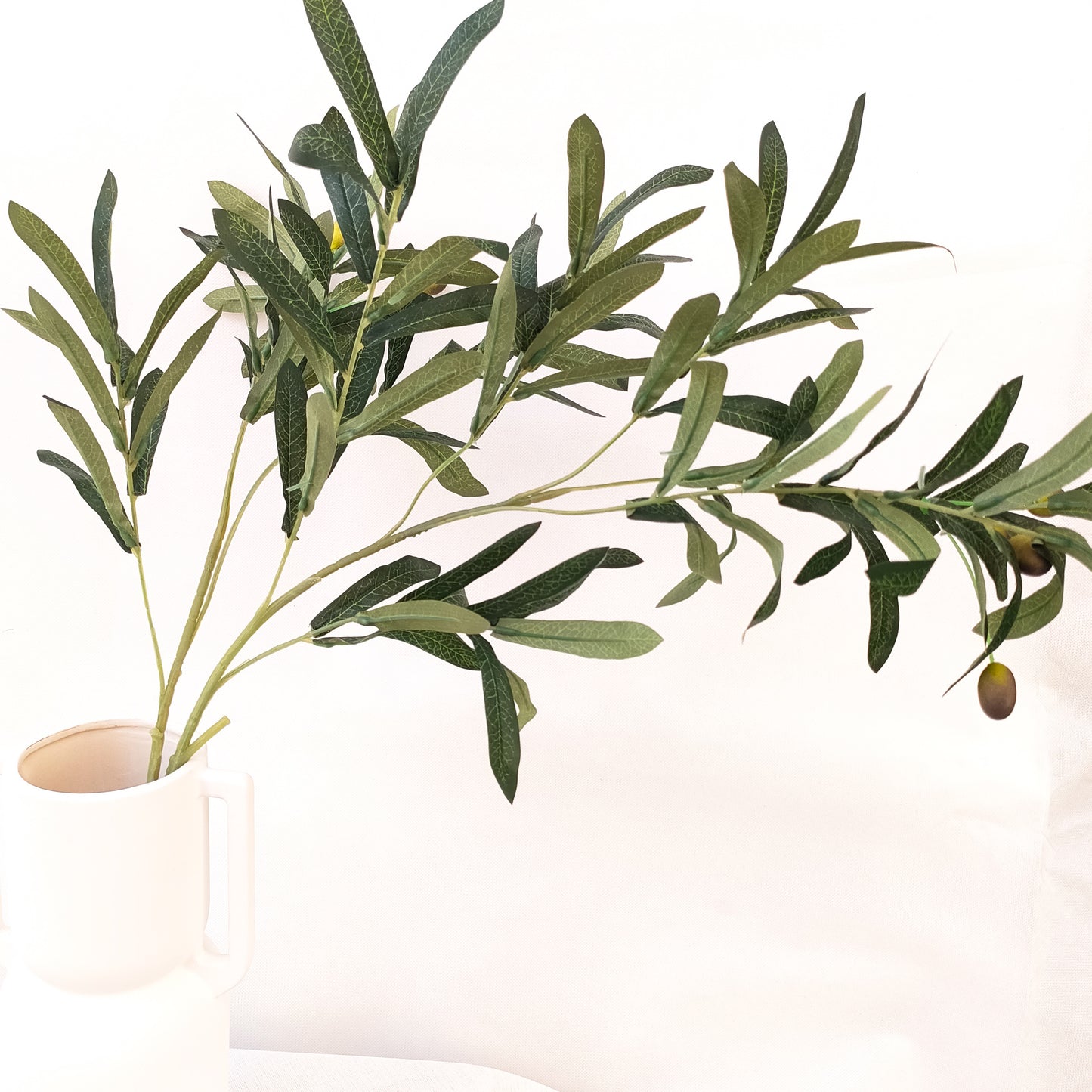 Olive Branch.