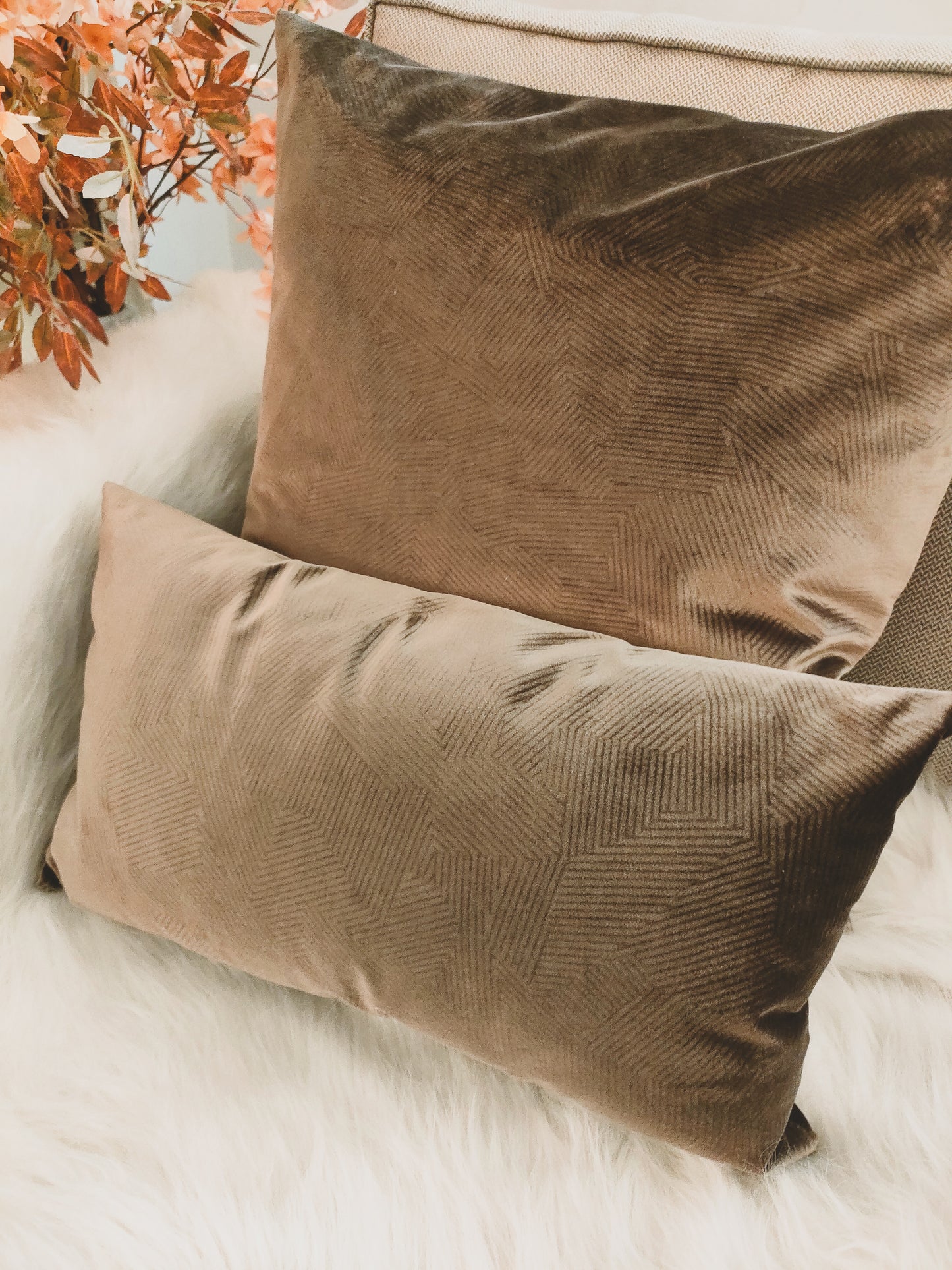 Velvet Cushion -2 sizes