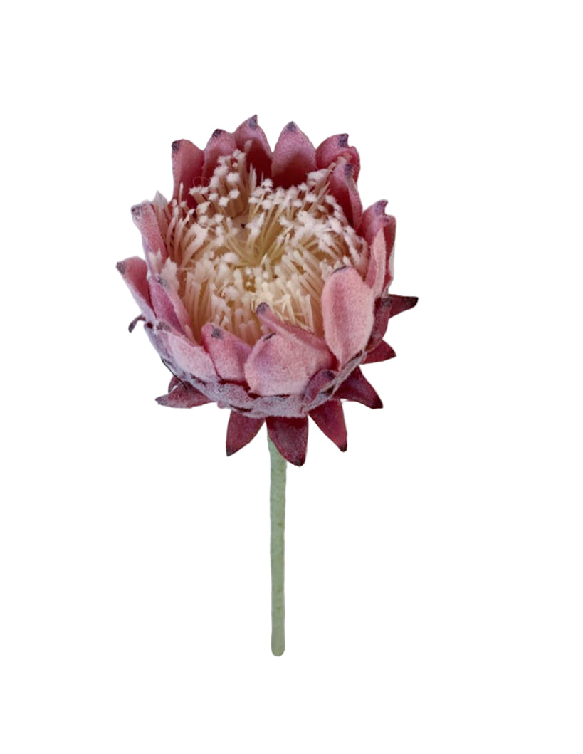 Artichoke rose - Colors
