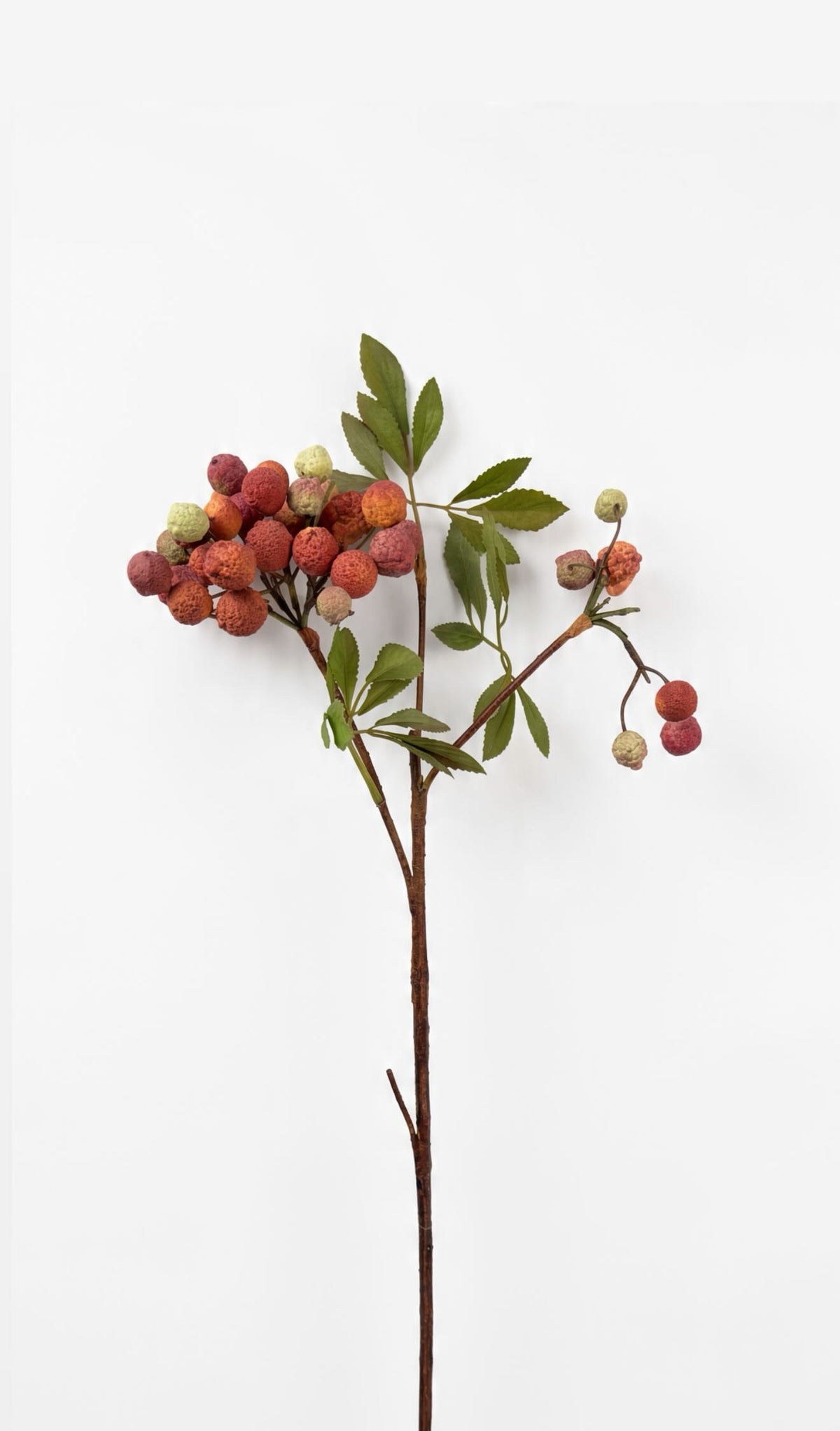 Berry Autumn Branch