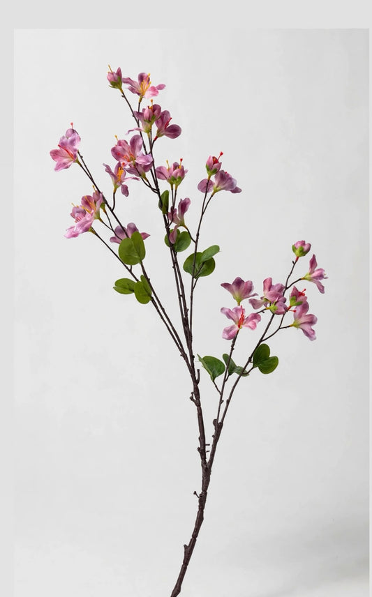 Spring Blossom Flowers