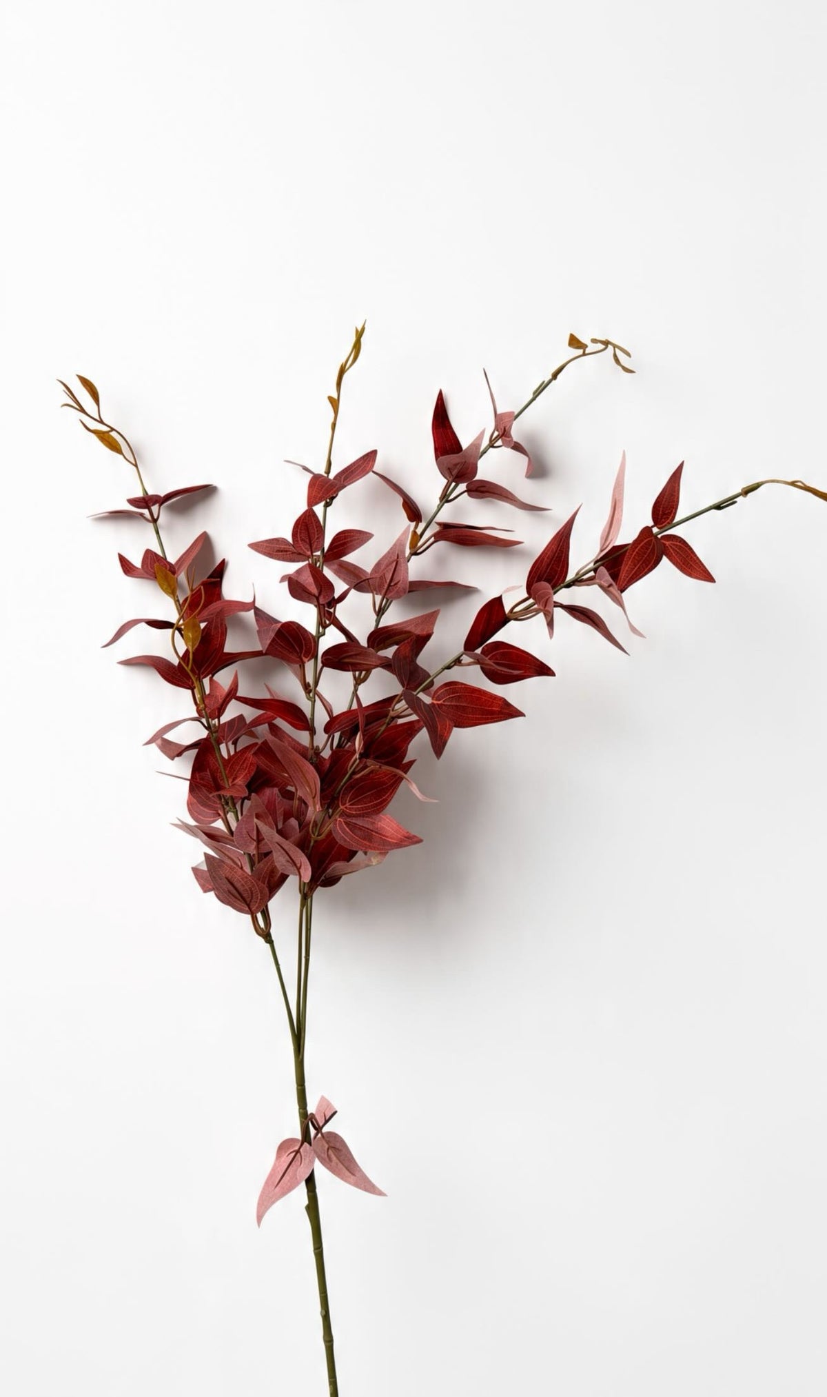 Autumn Red Branch
