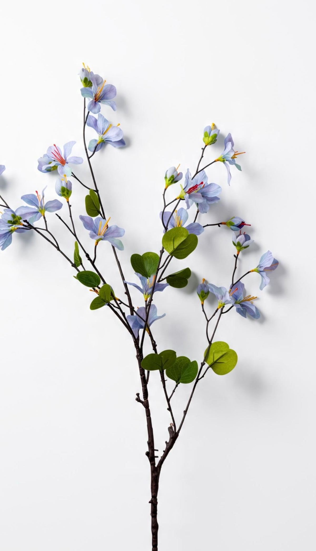 Spring Blossom Flowers
