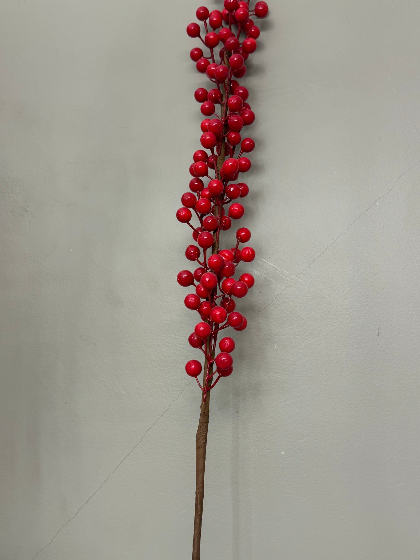 Red balls stem