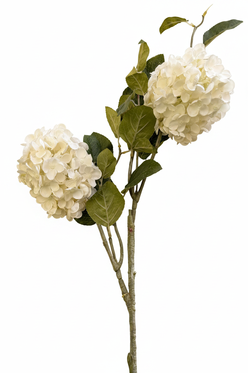 hydrangea long Stem with 2 flowers