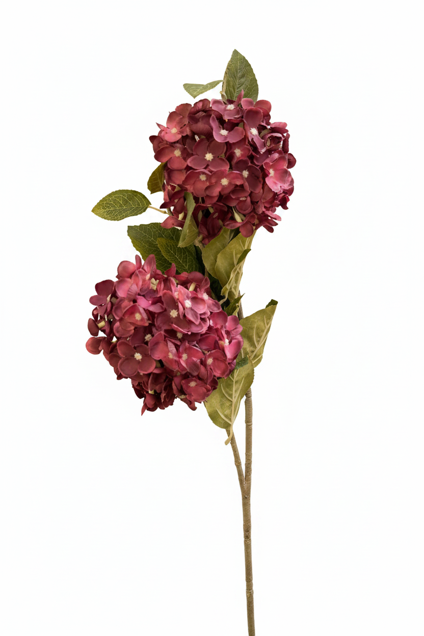 hydrangea long Stem with 2 flowers