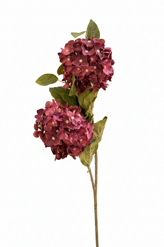 hydrangea long Stem with 2 flowers