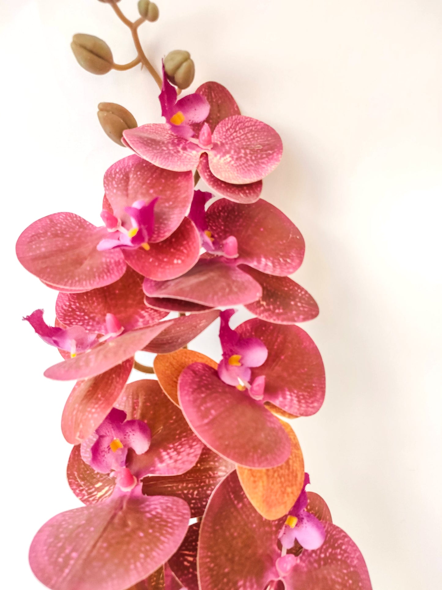 Orchid flowers stem-3 colors