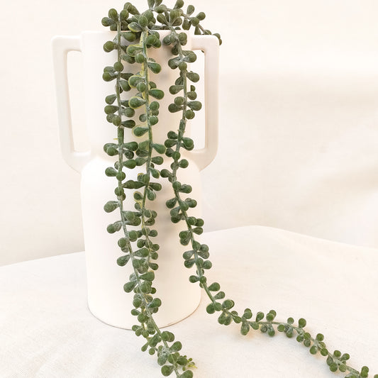 Greenery dangling Branch.
