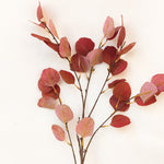 Load image into Gallery viewer, Eucalyptus  Leaf
