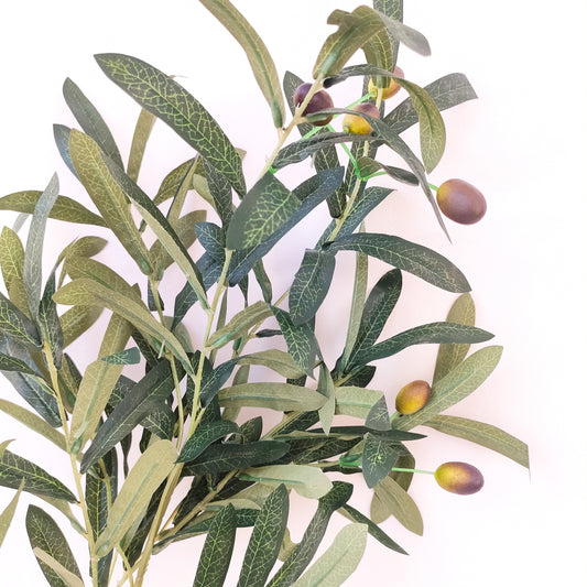Olive Branch.