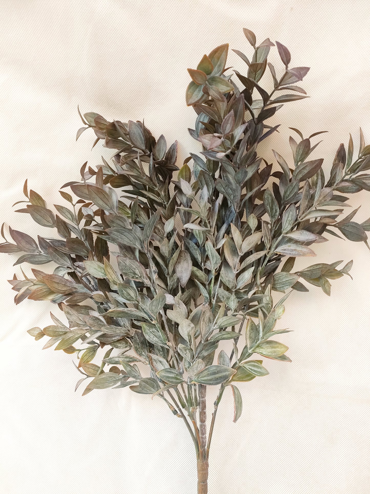 Greenery powder bunch