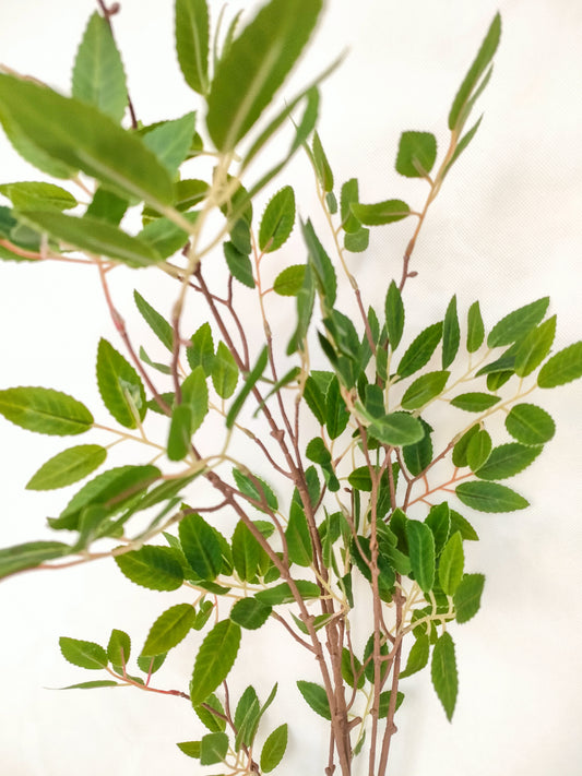 Brown & Green leaves