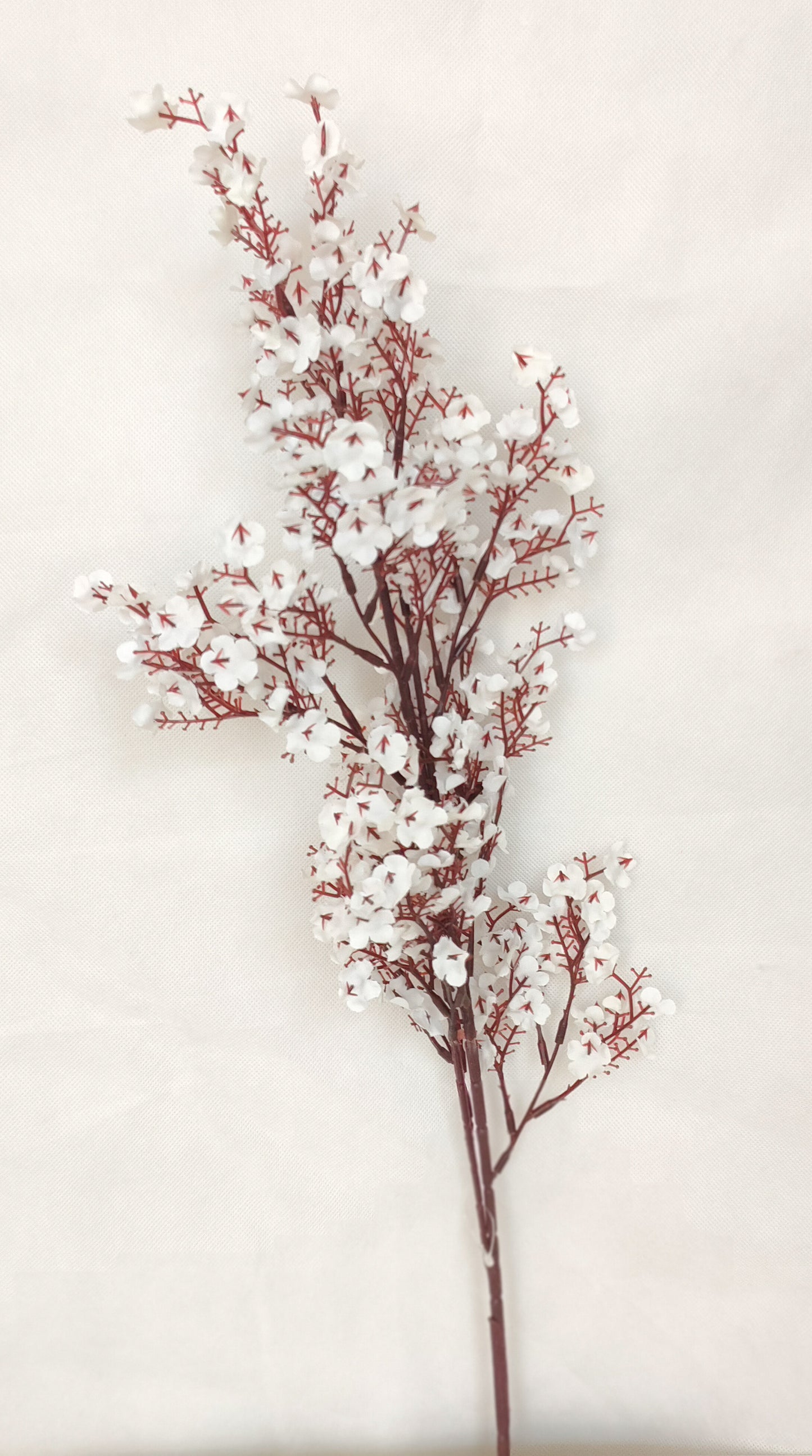 Crystal Leaf