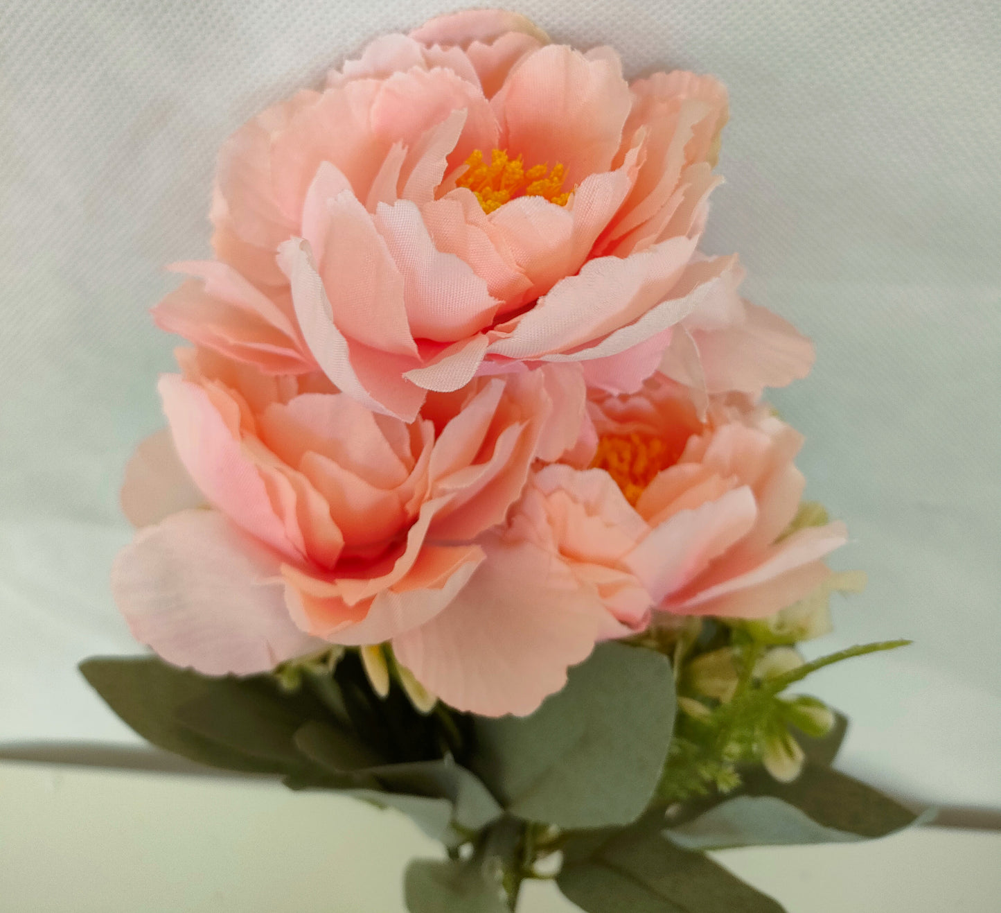 Flowers - colors