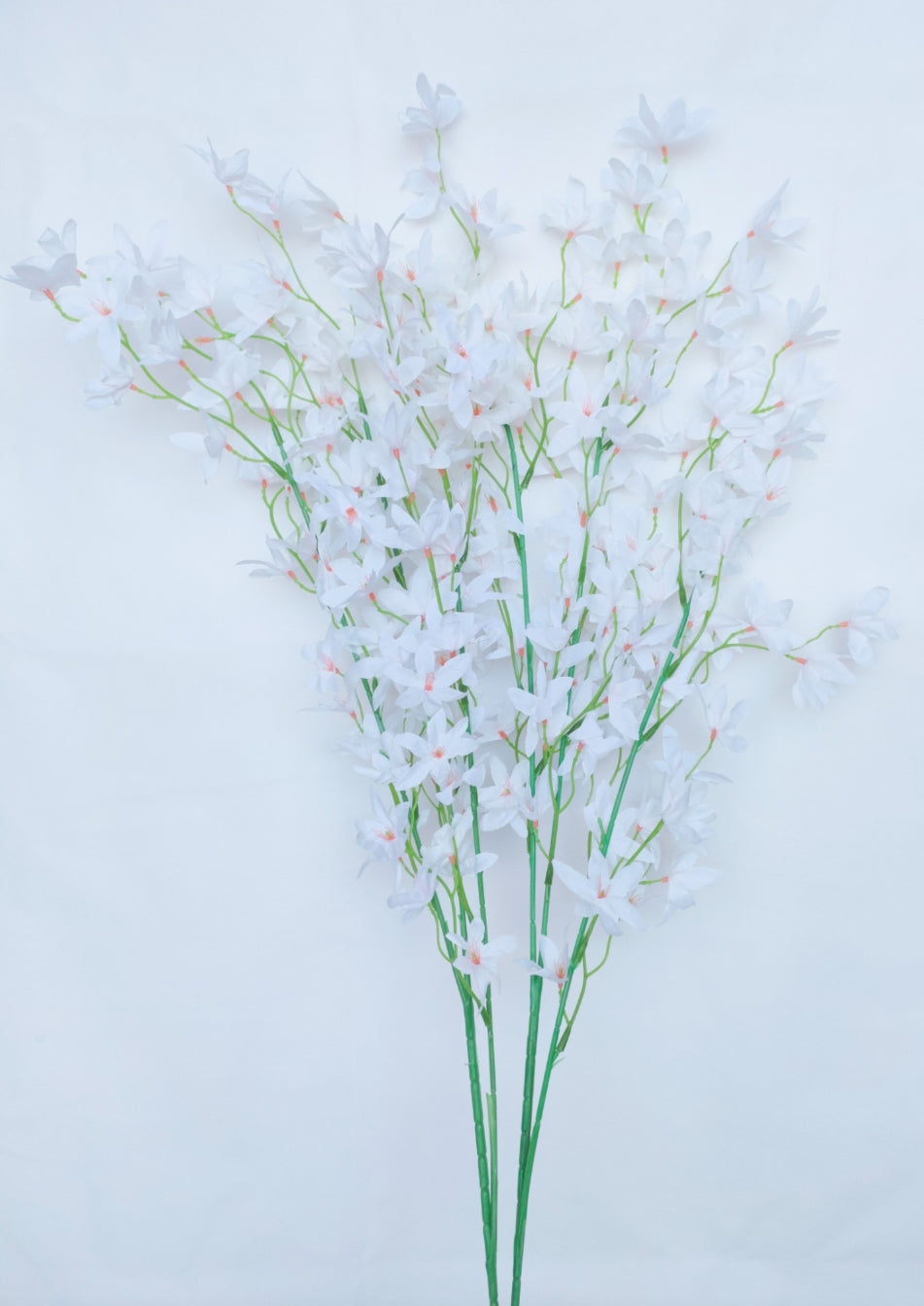 Jasmine leaf -