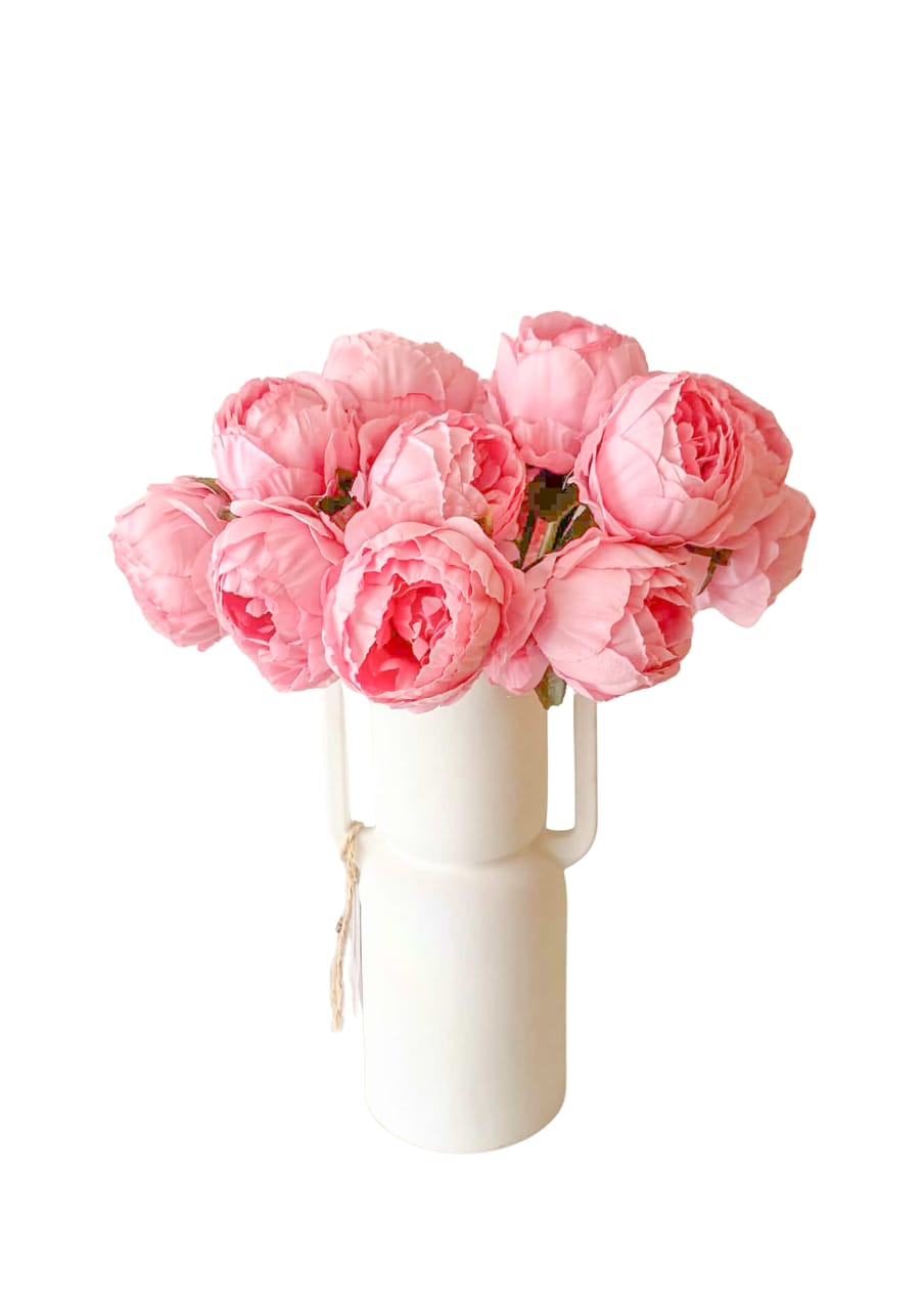 THE PINK & WHITE PASSION L