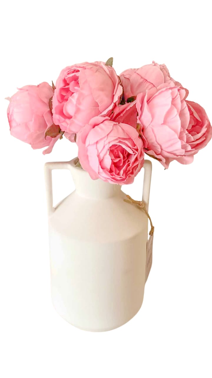 THE PINK & WHITE PASSION S