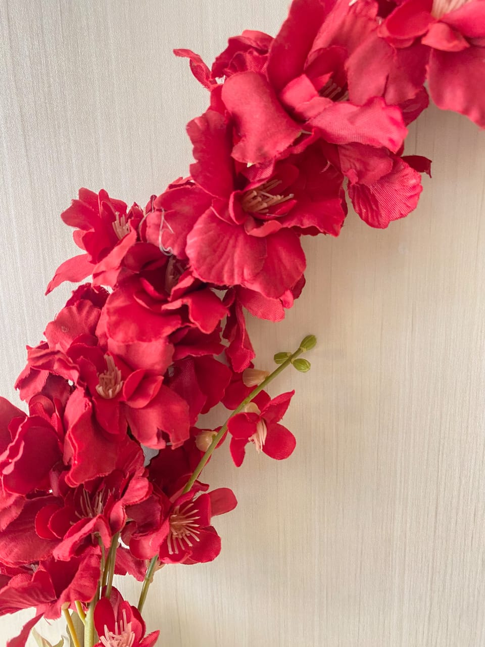 Long Gladiolus burgandy stem