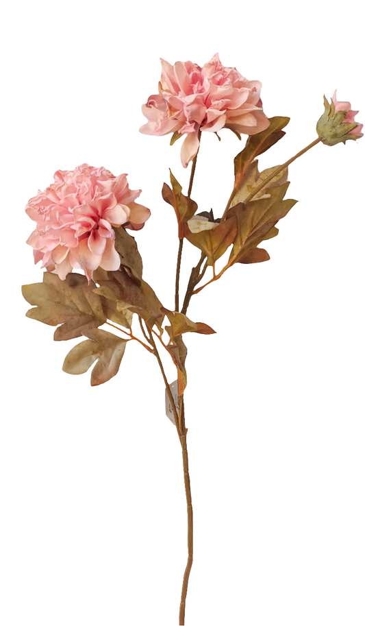 Pink flowers