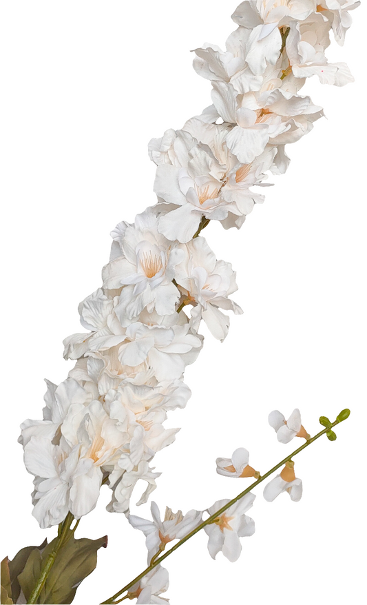 Long Gladiolus off-white stem