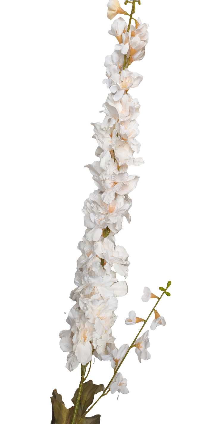 Long Gladiolus off-white stem