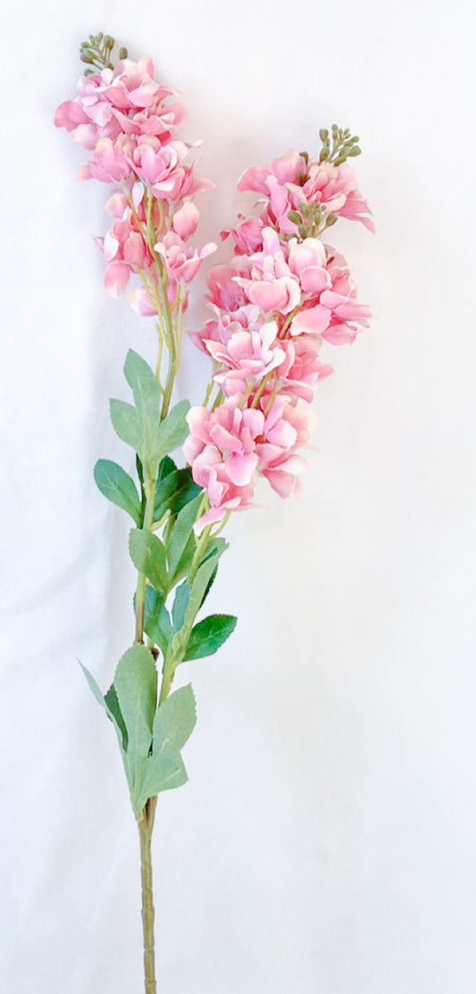 Gladiolus flower stem - 2 Shades