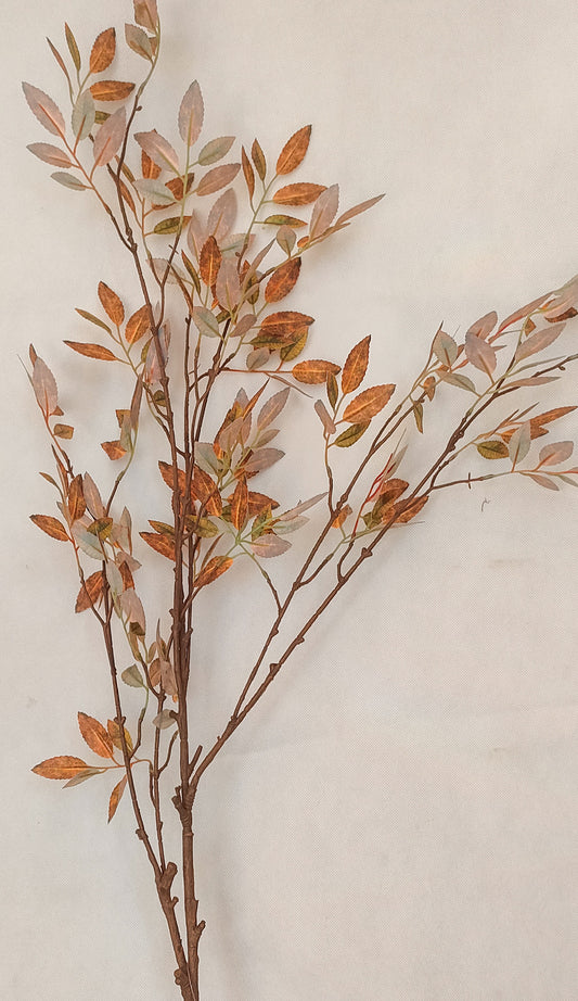 Orange Brownish  Branch