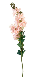 Load image into Gallery viewer, Gladiolus flower stem - 2 Shades
