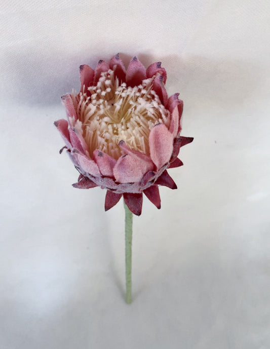 Artichoke rose - Colors