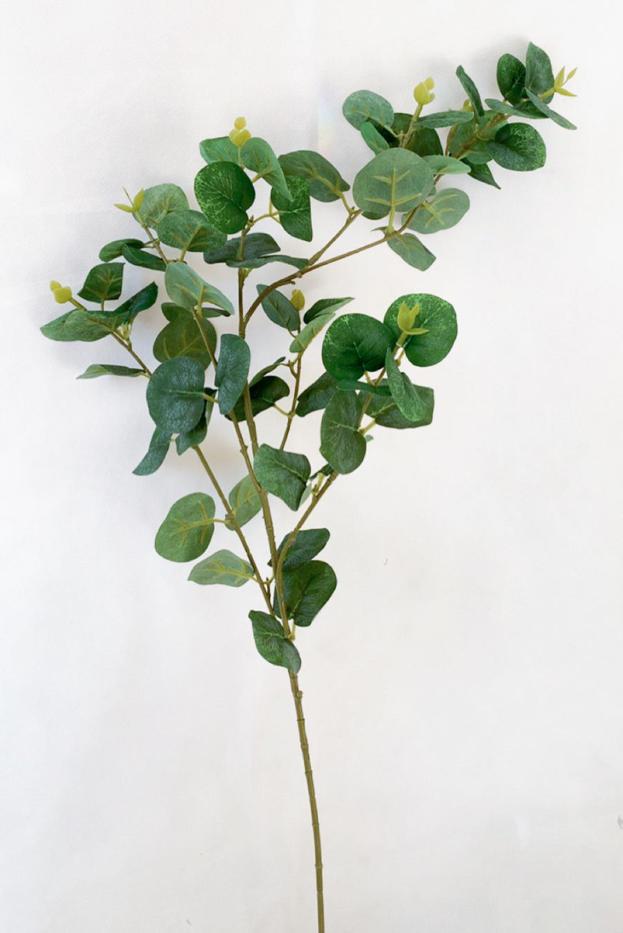 Greenery - compy leaves
