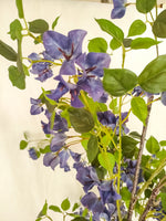 Load image into Gallery viewer, Bougainvillea Artificial Tree - Real Touch 150cm- شجره الجهنميه الصناعيه الفاخره ازرق اللون
